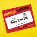 Slanguage (Chinese)