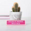 Sassy Desk Plates (Excuse My Resting Bitch Face)